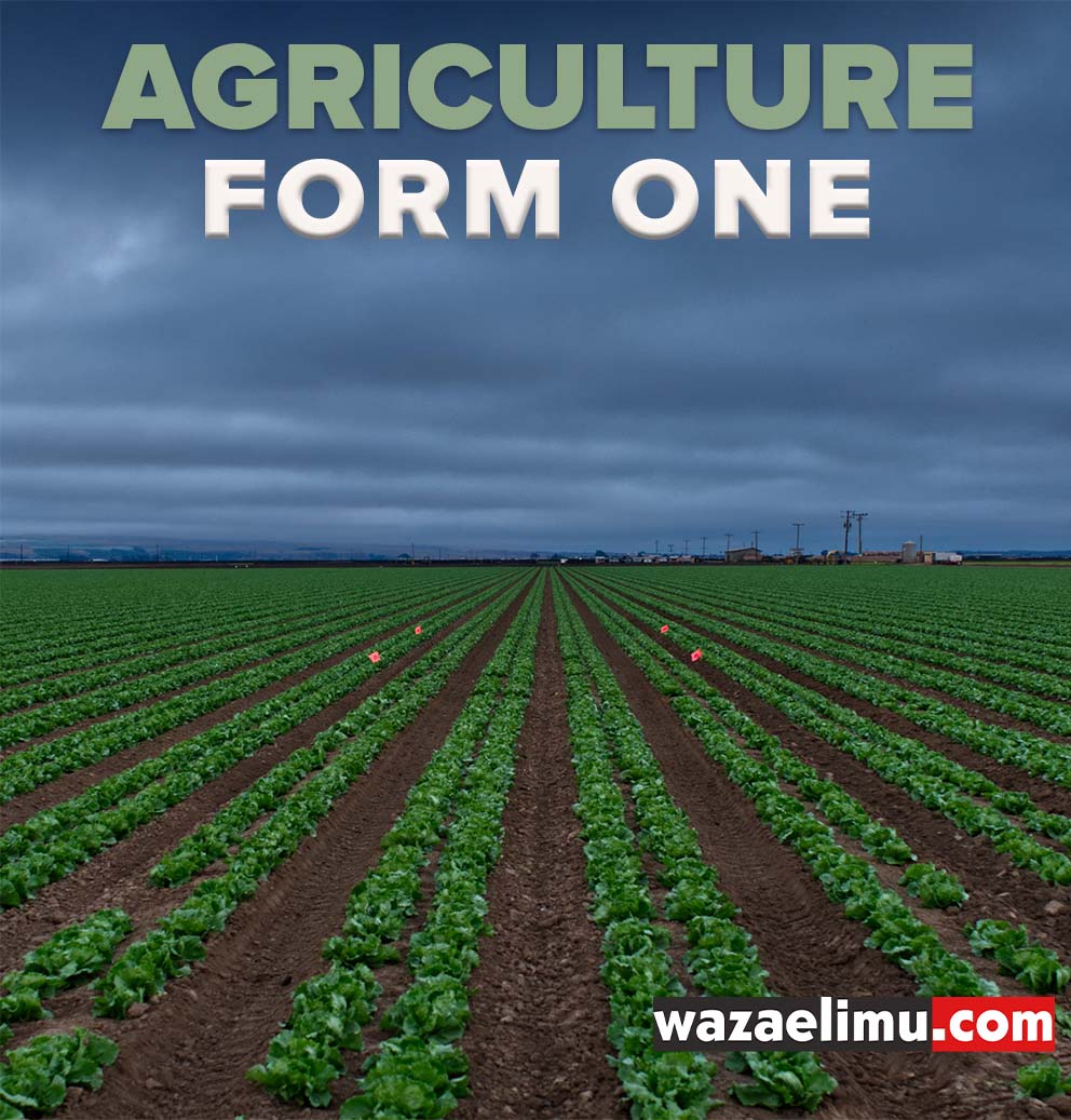 Agriculture Full Topics Form One Agriculture Form One: Introduction to Soil Science | Topic 5 Agriculture Form One: Mechanization in agriculture | Topic 4 Agriculture Form One: Introduction to Livestock Science and Production | Topic 3 Agriculture Form One: Introduction to Agricultural Science - Topic 1