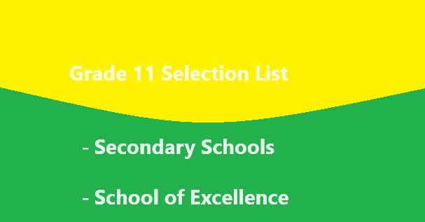 PNG Grade 11 Selection List 2024/2025 PDF Download